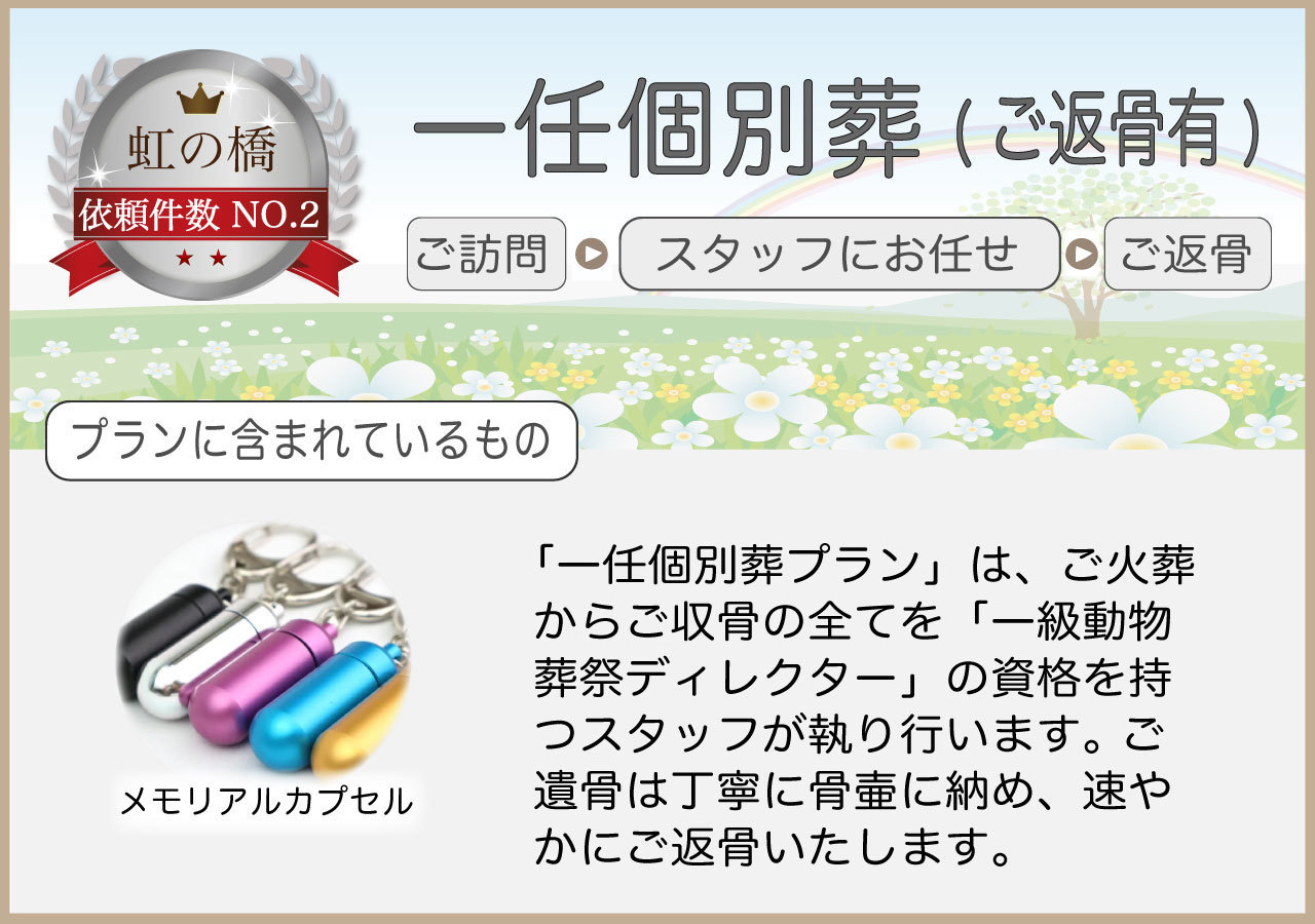 ペット：一任個別葬プラン