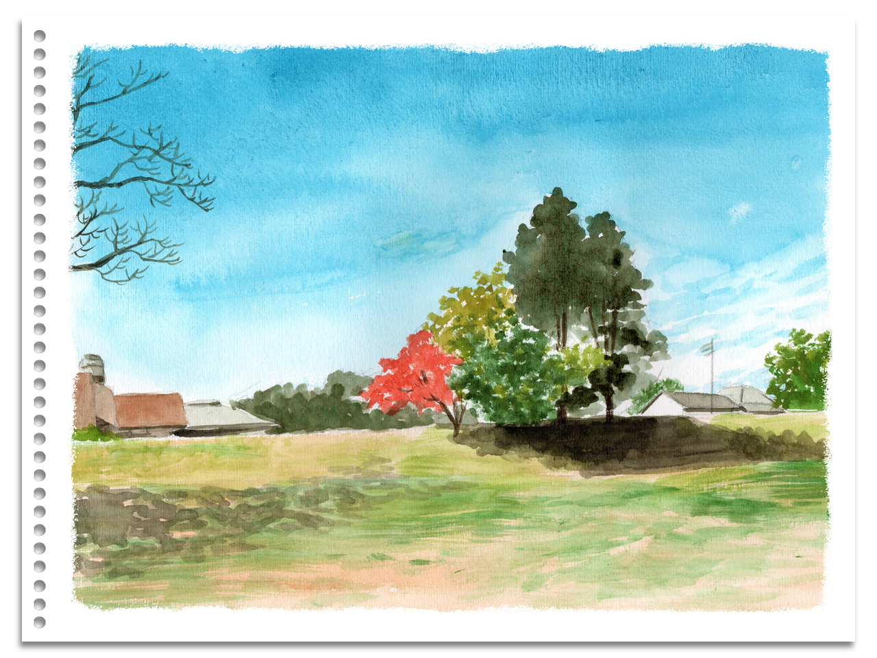 亡くなった愛犬うめ吉くんの写真