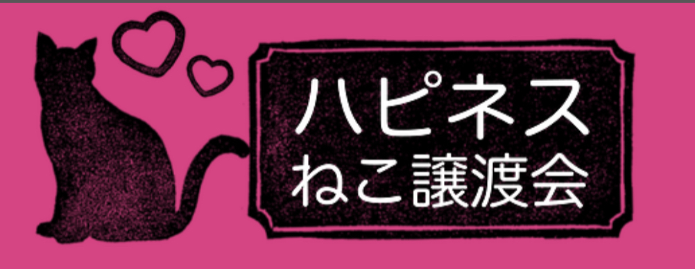 ハピネスねこ譲渡会