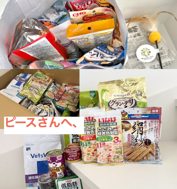 ペット 支援物資