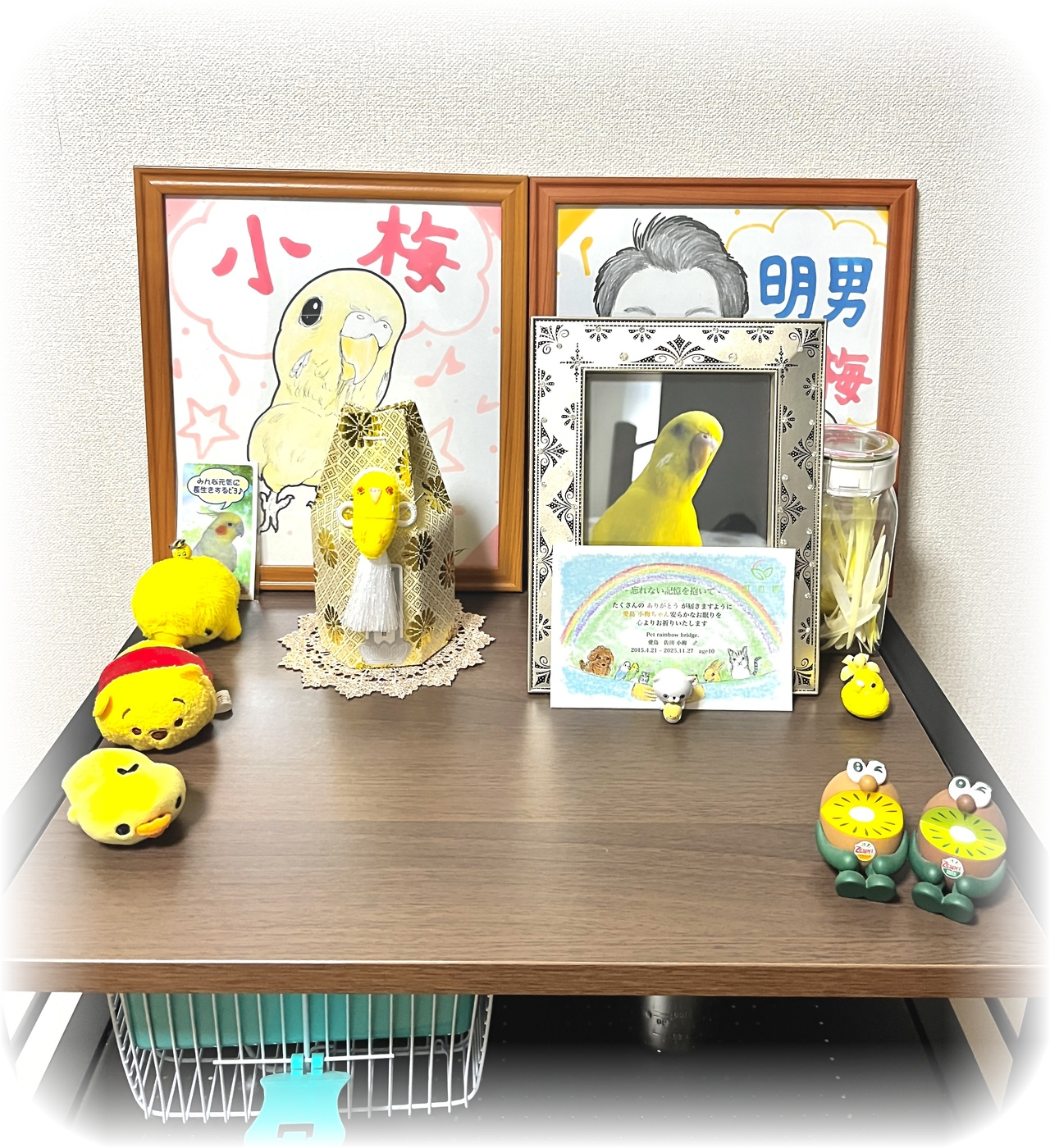 亡くなった愛犬うめ吉くんの写真