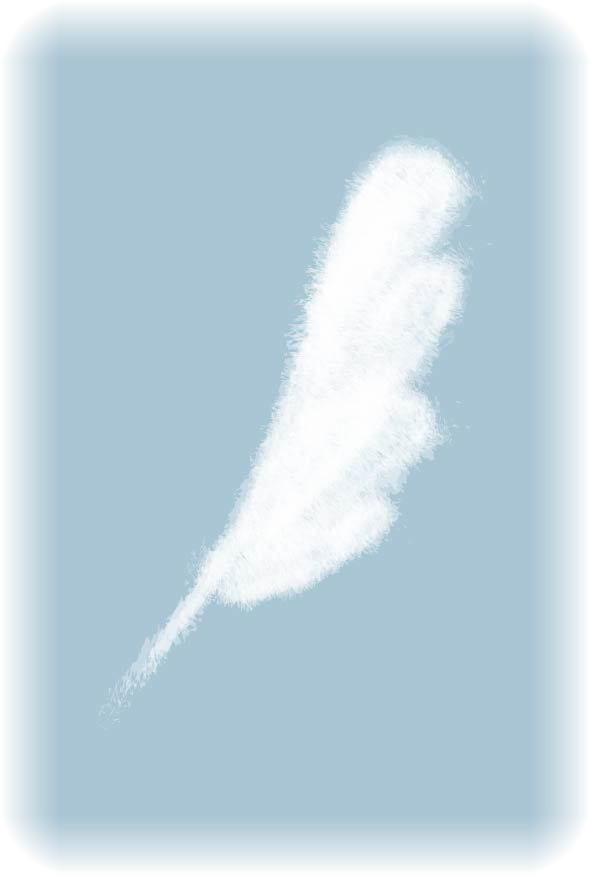 羽のイラスト