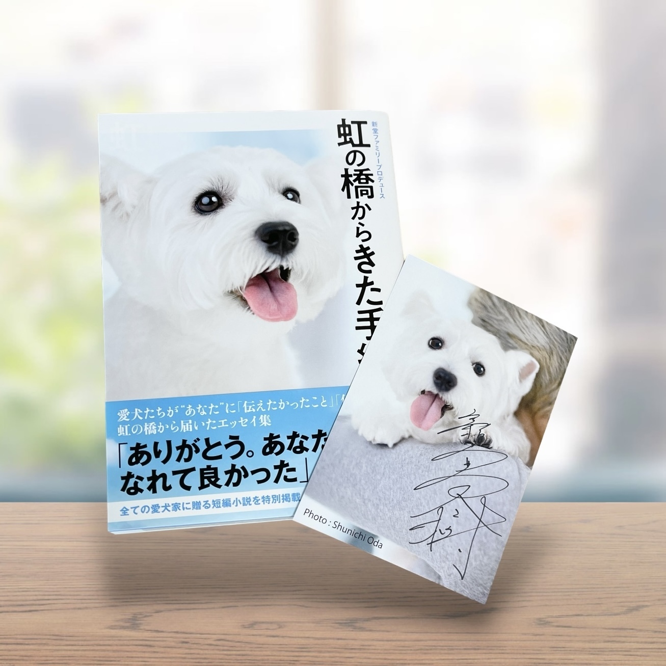新堂冬樹さん著「虹の橋からきた手紙」本のご紹介 訪問ペットセレモニー虹の橋