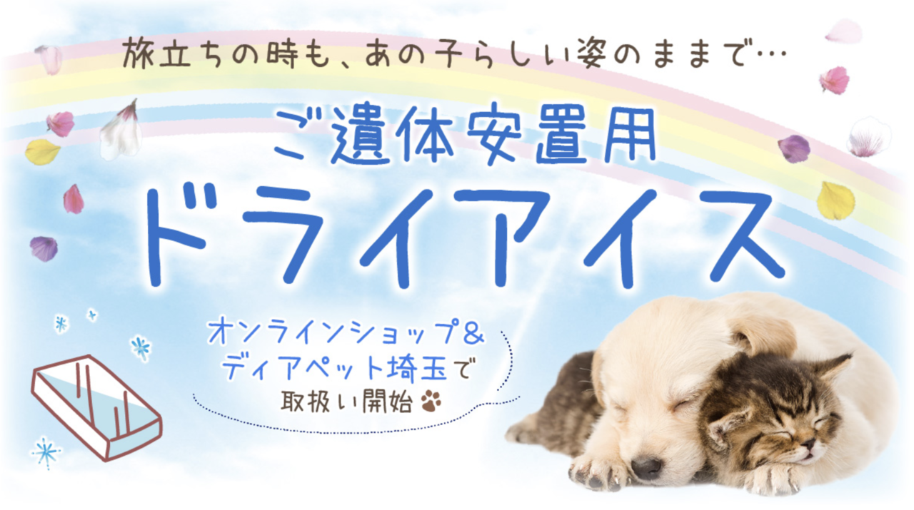 ドライアイスのイラスト