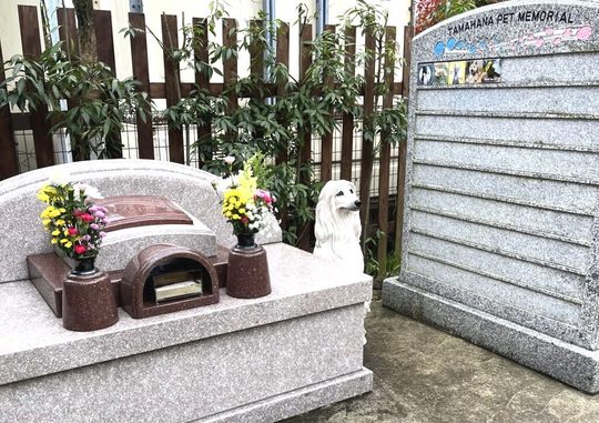 小淵山 正賢寺 觀音院 - 訪問ペットセレモニー虹の橋